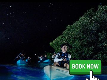 Florida Bioluminescence Tours - Clear Kayaking Tours